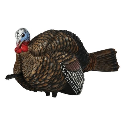 Avian-X LCD Half Strut Jake Decoy, realistic turkey decoy, lifelike jake decoy, Avian-X turkey decoy, sub-dominant jake decoy, hunting decoy for turkeys, best turkey decoy 2024, Avian-X LCD series, collapsible turkey decoy, turkey hunting gear, aggressive gobbler decoy, premium hunting decoy, Avian-X half-strut jake, tom luring decoy, PVC dura-rubber decoy, high-detail turkey decoy, bowhunting turkey decoy, turkey decoy with stake, realistic bird hunting decoy, top-rated Avian-X decoy, jake turkey hunting decoy, Avian-X LCD for bowhunters